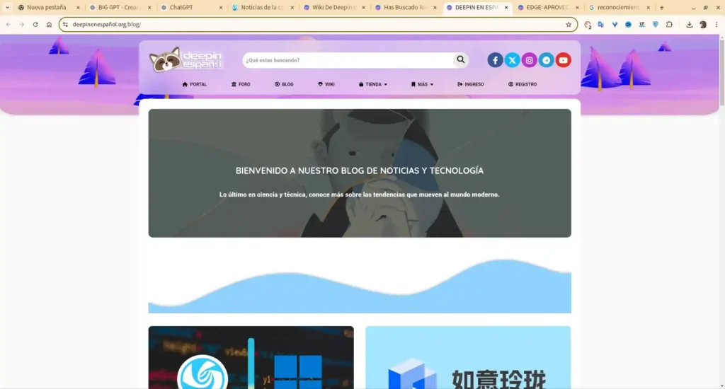 Imagen de deepin en español
